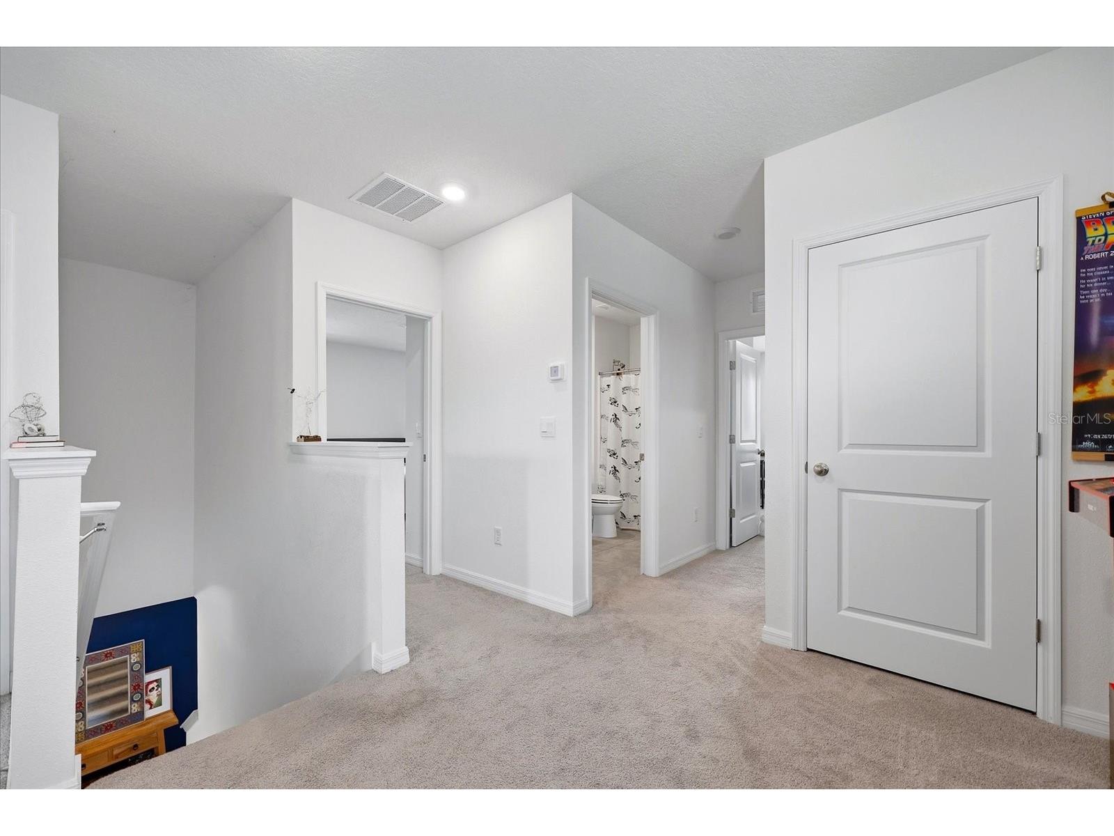 33479 Elm Hill Branch Wesley Chapel FL 33545 TB8494198 image31