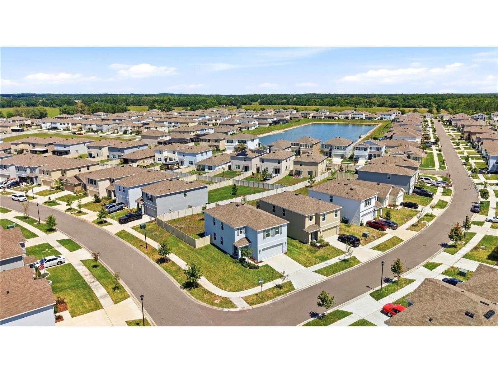 33479 Elm Hill Branch Wesley Chapel FL 33545 TB8494198 image37