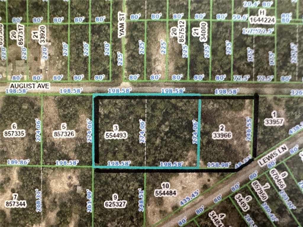 33480 August Avenue Webster FL 33597 U8235215 image1