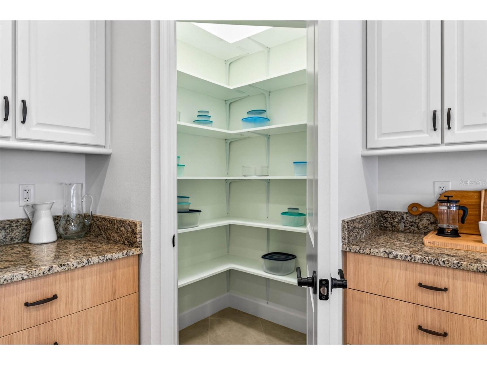 33487 Azalea Ridge Drive Wesley Chapel FL 33545 TB8487517 image20