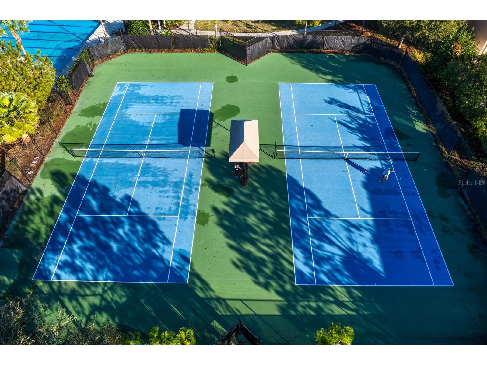 33487 Azalea Ridge Drive Wesley Chapel FL 33545 TB8487517 image56