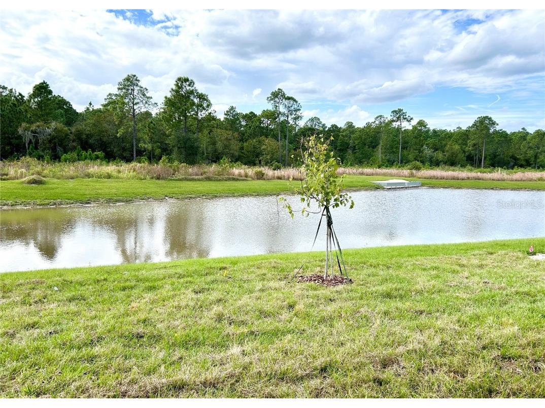 3349 Costello Circle Winter Haven FL 33884 O6364268 image10