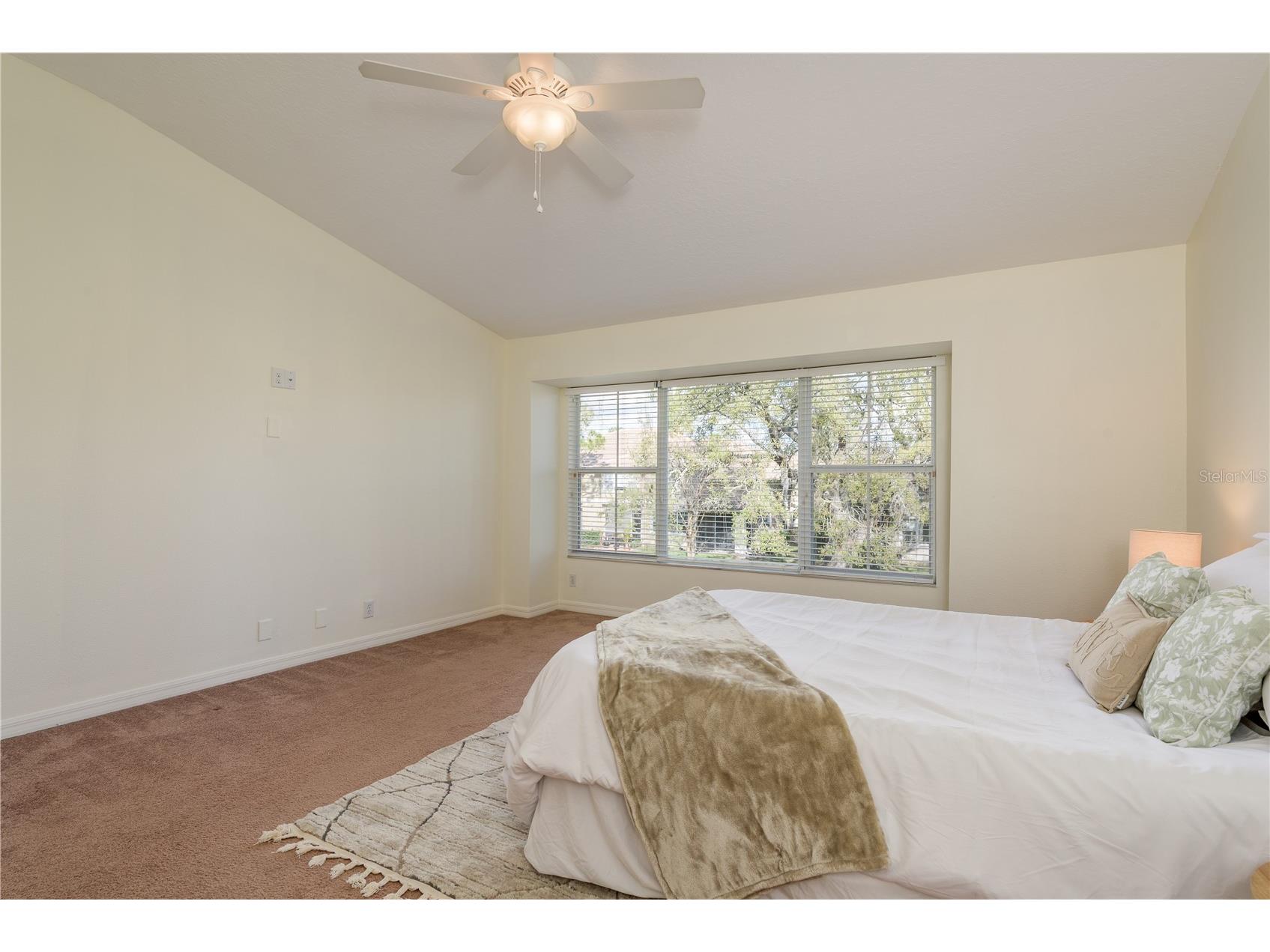 3349 Covered Bridge Dr W Dunedin FL 34698 TB8481257 image23