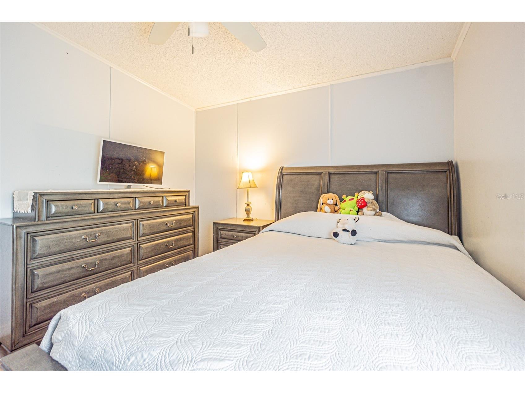 3349 Oakwood Drive Wesley Chapel FL 33543 TB8420321 image40