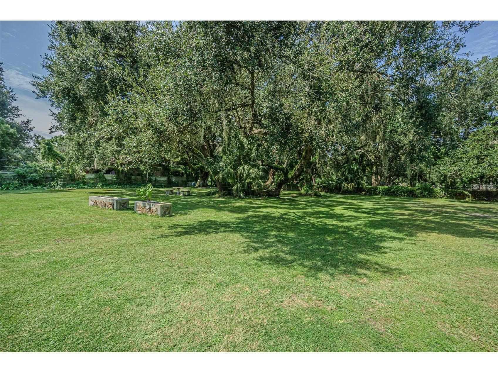 3349 Oakwood Drive Wesley Chapel FL 33543 TB8420321 image47