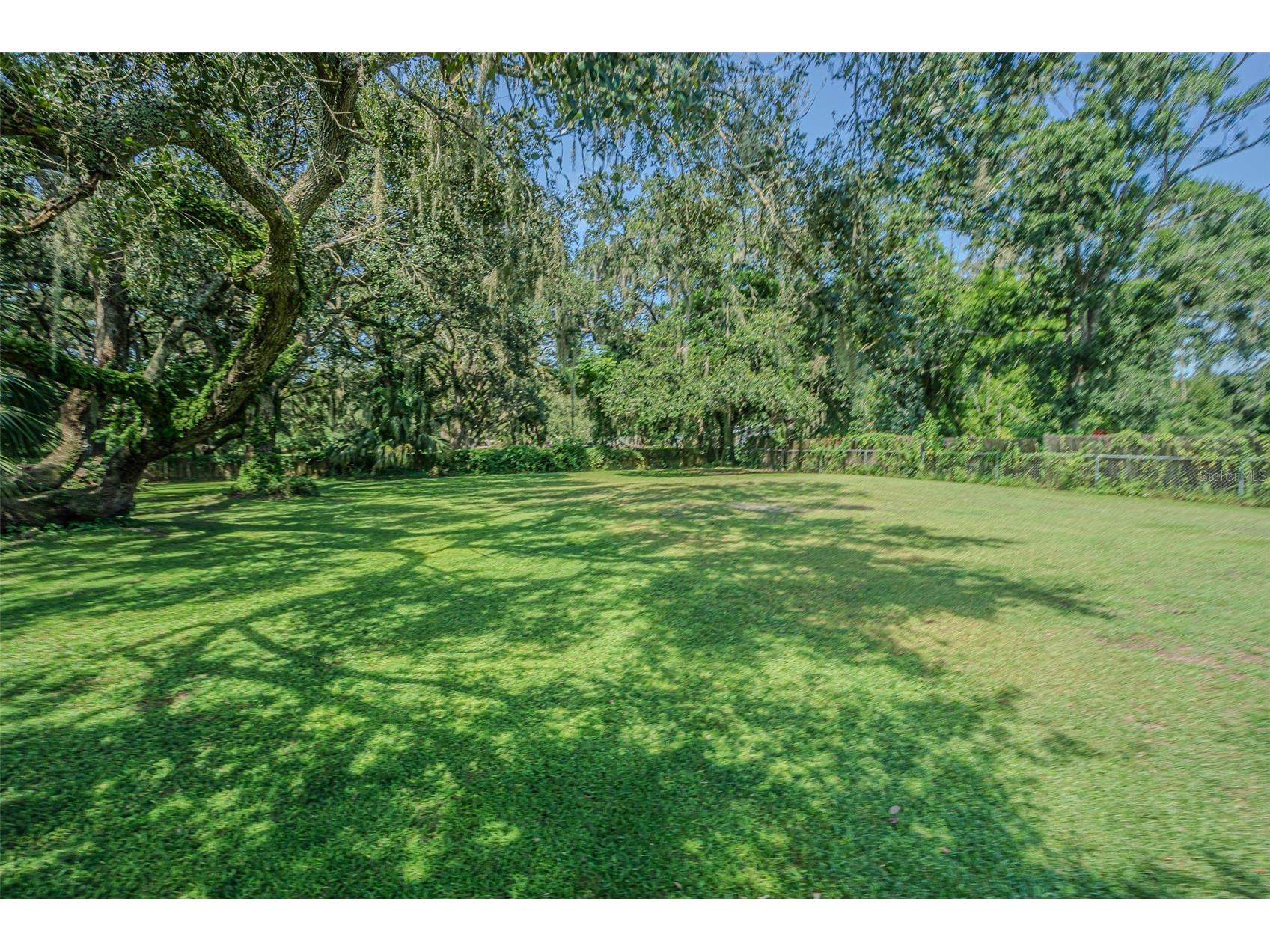 3349 Oakwood Drive Wesley Chapel FL 33543 TB8420321 image48