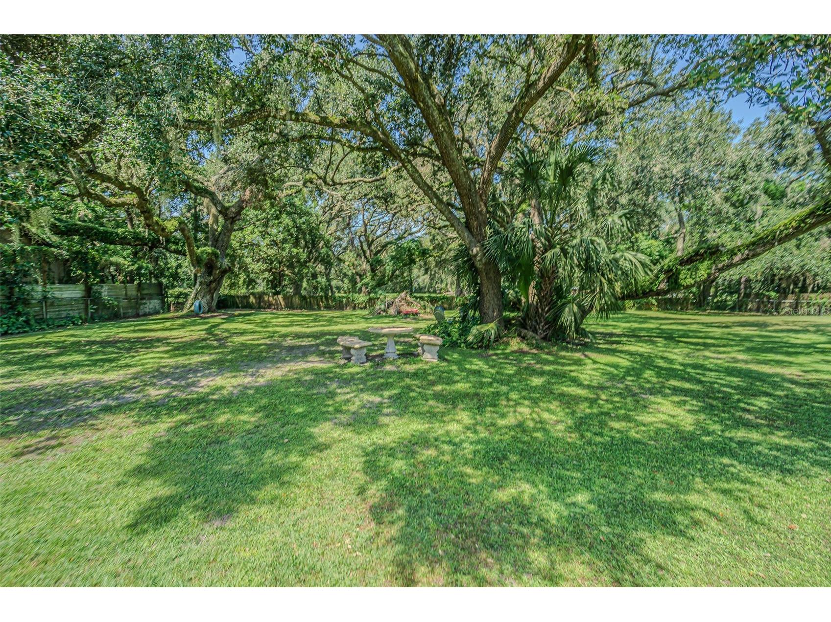 3349 Oakwood Drive Wesley Chapel FL 33543 TB8420321 image50