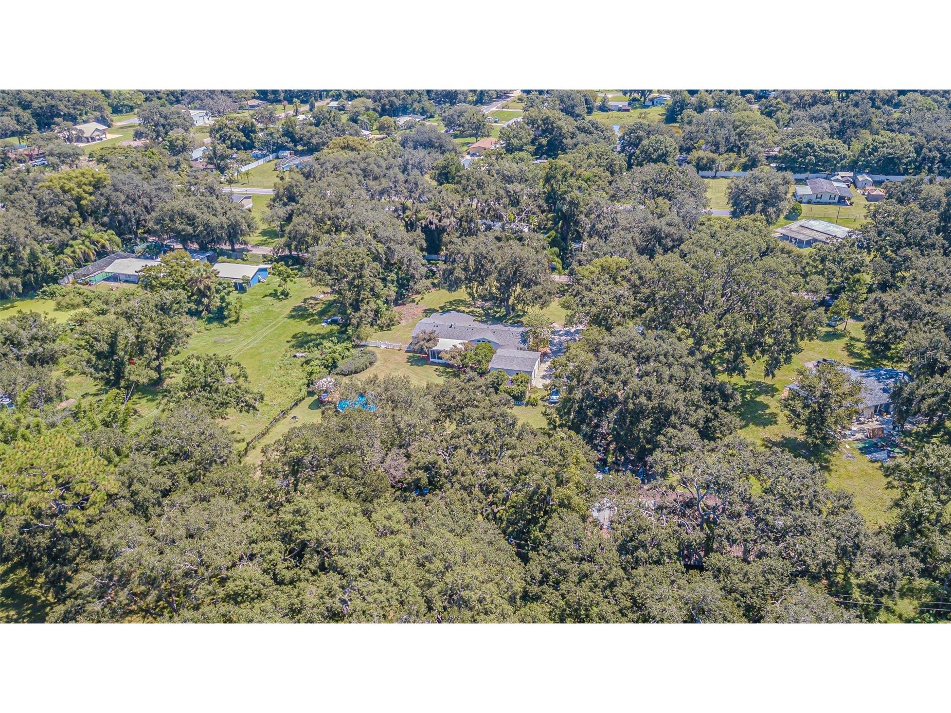 3349 Oakwood Drive Wesley Chapel FL 33543 TB8420321 image58