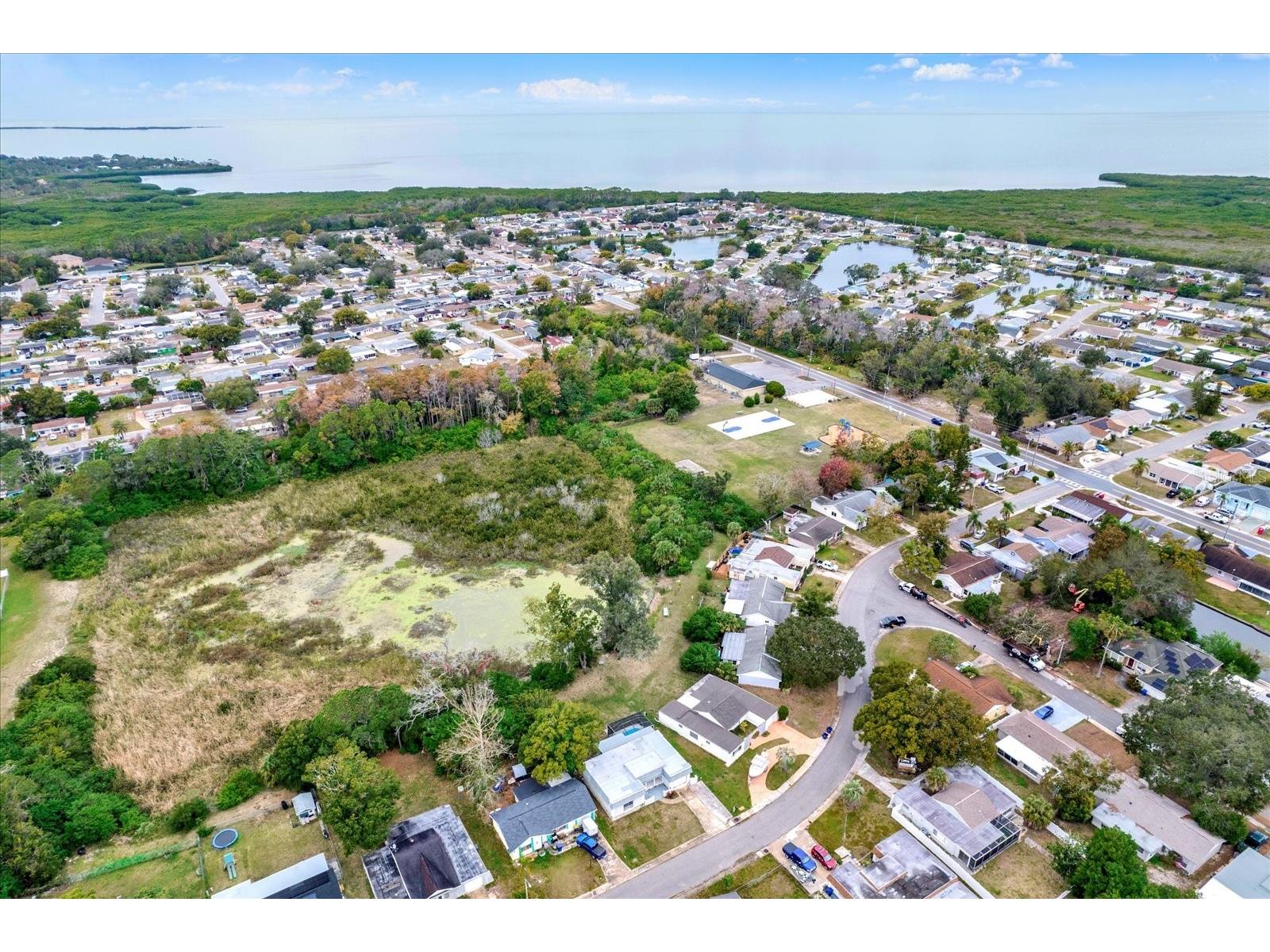 3349 Overland Drive Holiday FL 34691 TB8459693 image32