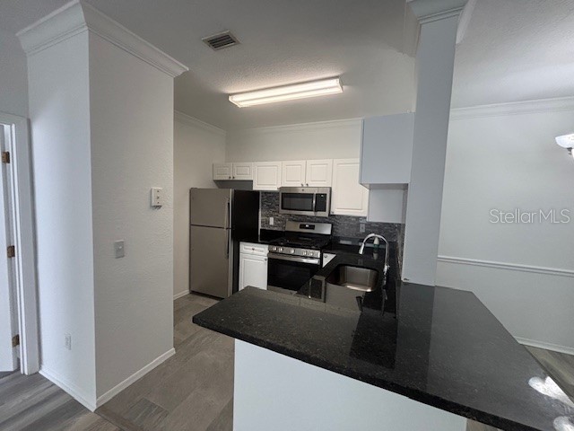 3349 S Kirkman Road #1523 Orlando FL 32811 O6344496 image3