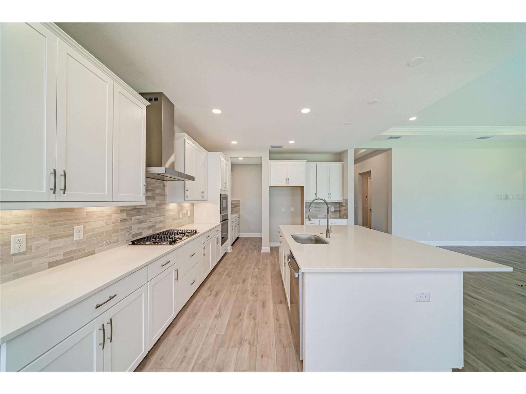 33496 Twilight Sea Place Dade City FL 33525 TB8476923 image16