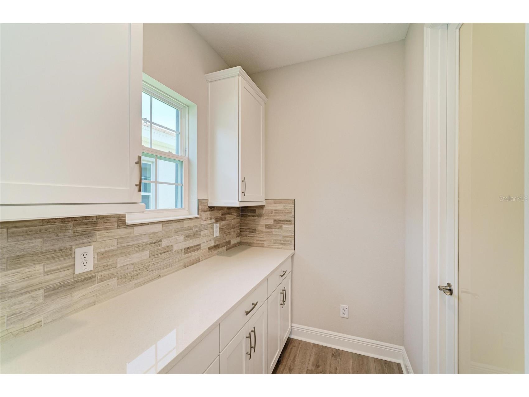 33496 Twilight Sea Place Dade City FL 33525 TB8476923 image22