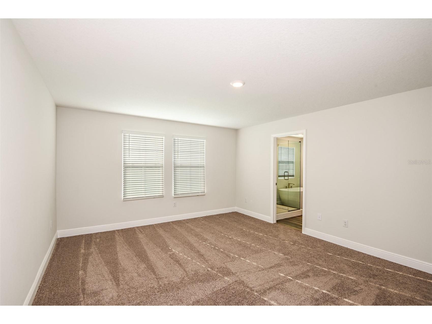 33499 Twilight Sea Place Wesley Chapel FL 33545 TB8467905 image12