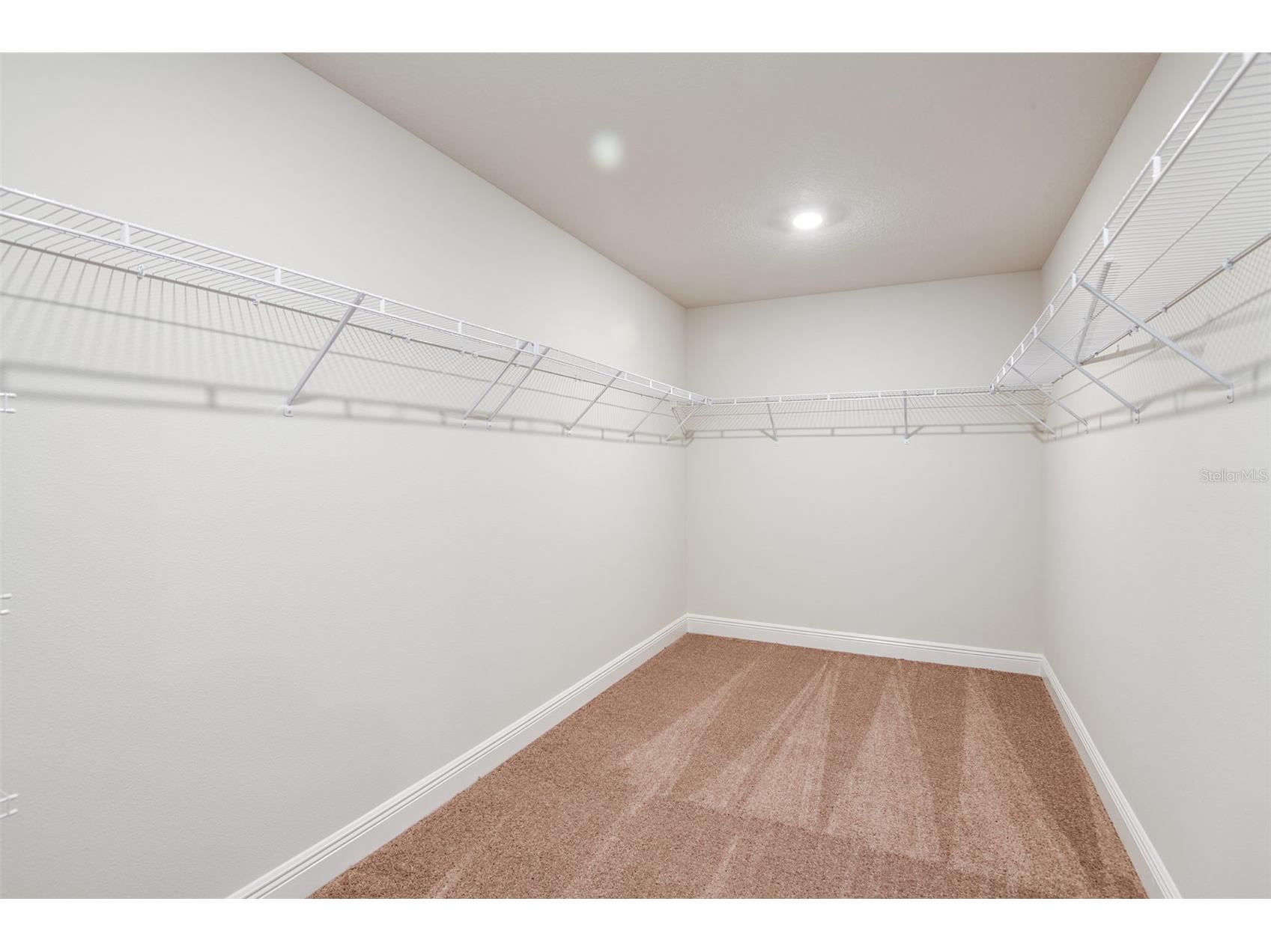 33499 Twilight Sea Place Wesley Chapel FL 33545 TB8467905 image14