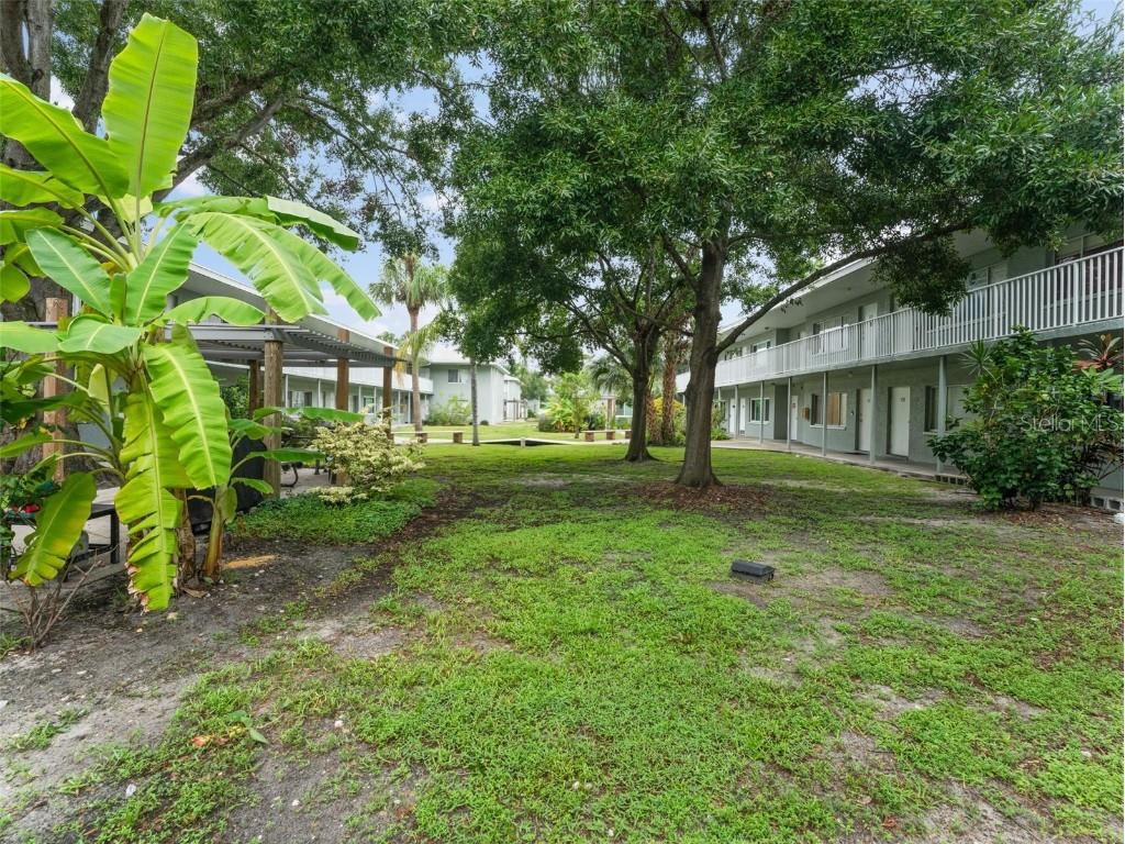 335 47th Avenue N #244 Saint Petersburg FL 33703 TB8425530 image27