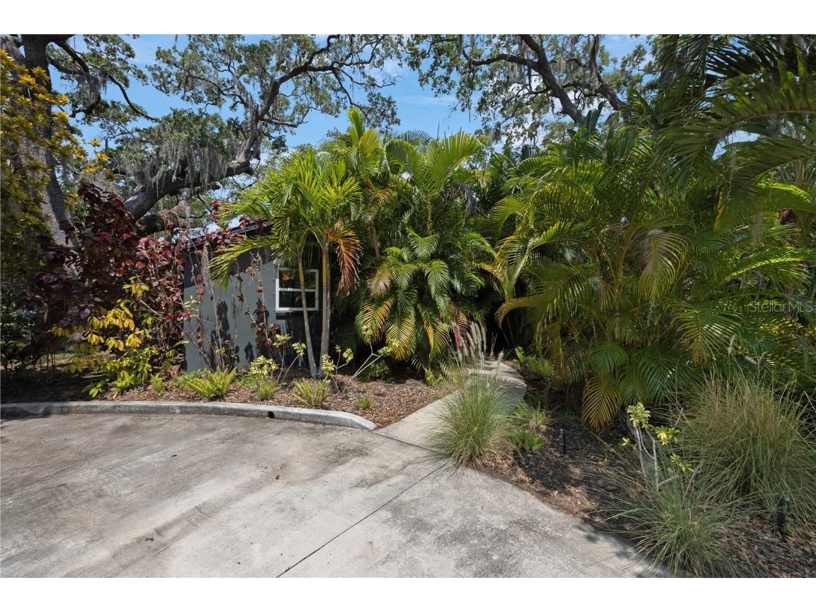 335 8th Avenue S Safety Harbor FL 34695 T3532770 image1