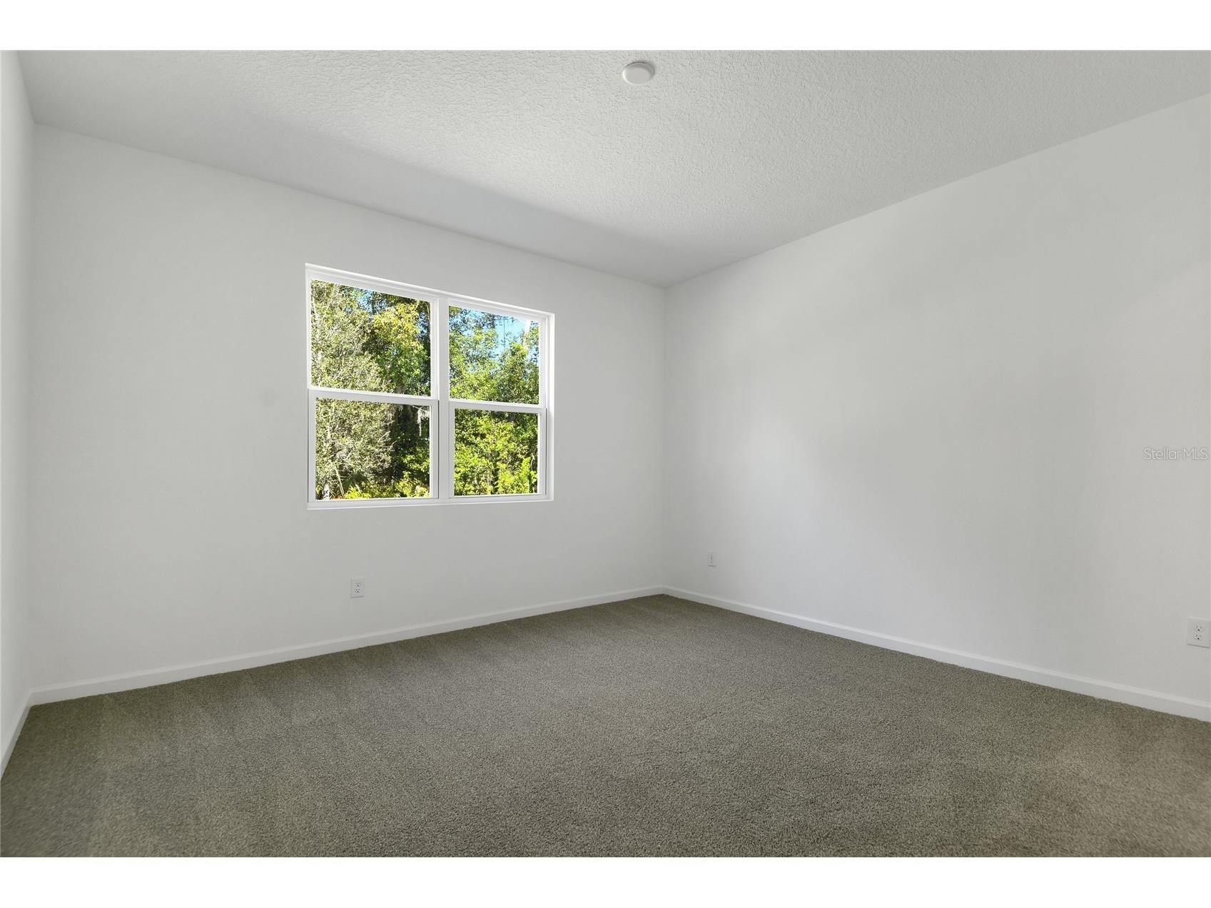 335 Alexandrite Street Deland FL 32720 S5133057 image13