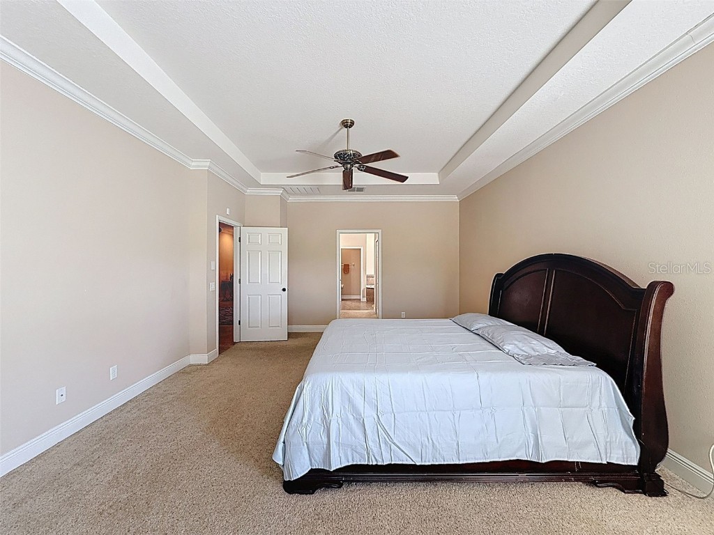 335 Cockle Shell Loop Apollo Beach FL 33572 TB8442499 image27