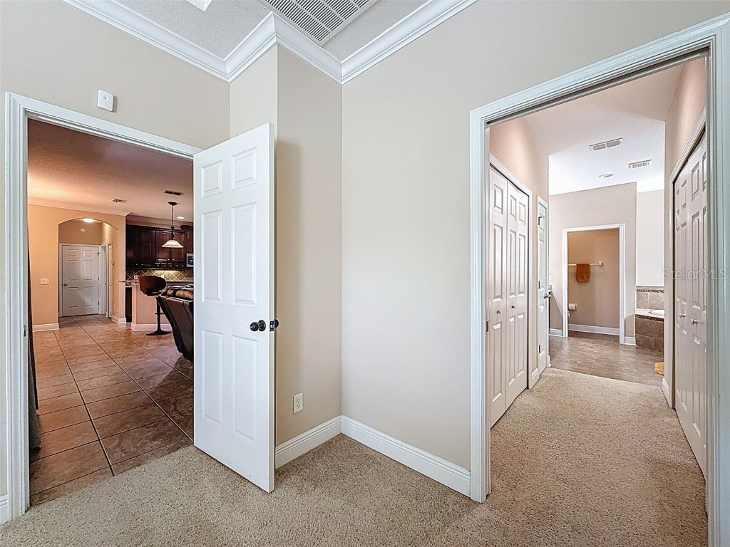 335 Cockle Shell Loop Apollo Beach FL 33572 TB8442499 image28