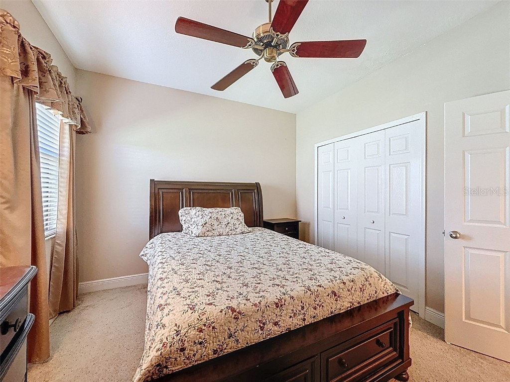 335 Cockle Shell Loop Apollo Beach FL 33572 TB8442499 image36