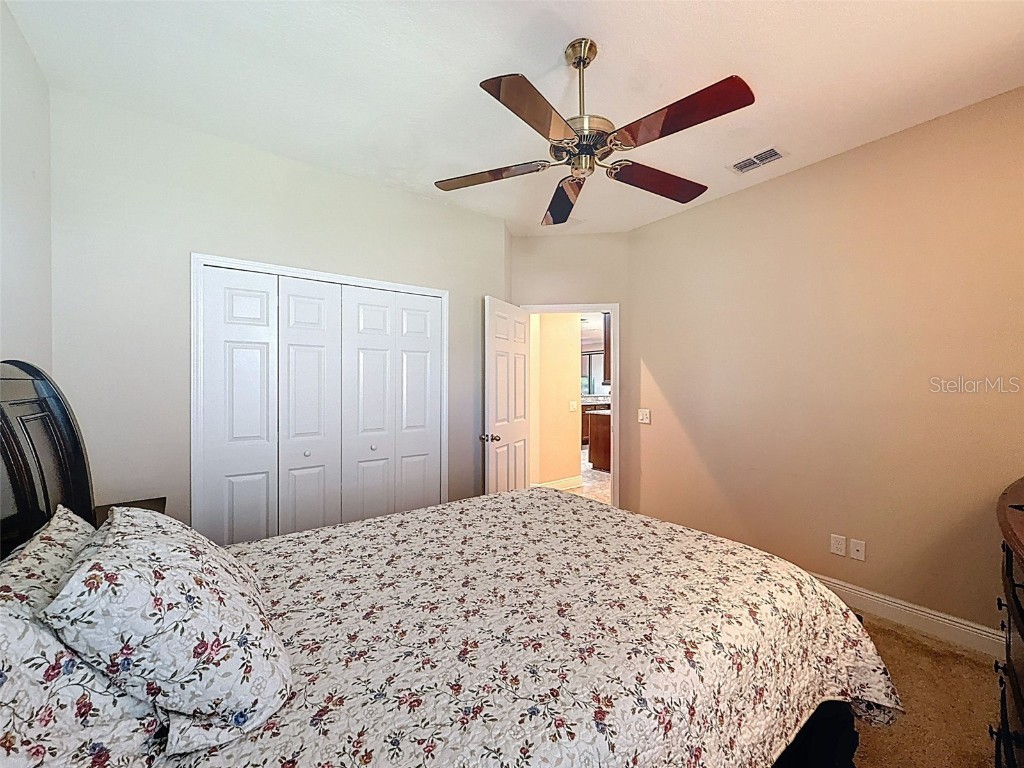 335 Cockle Shell Loop Apollo Beach FL 33572 TB8442499 image37