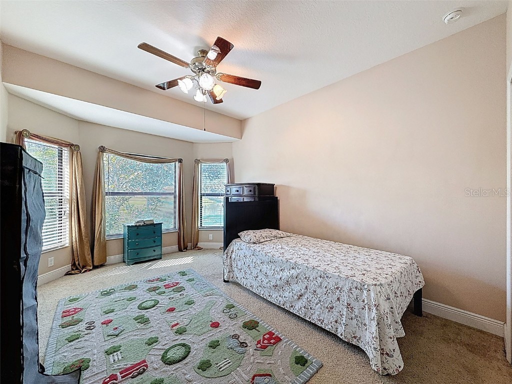 335 Cockle Shell Loop Apollo Beach FL 33572 TB8442499 image40