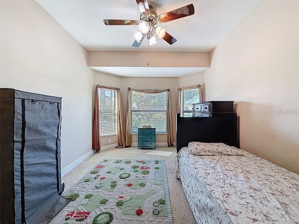 335 Cockle Shell Loop Apollo Beach FL 33572 TB8442499 image41