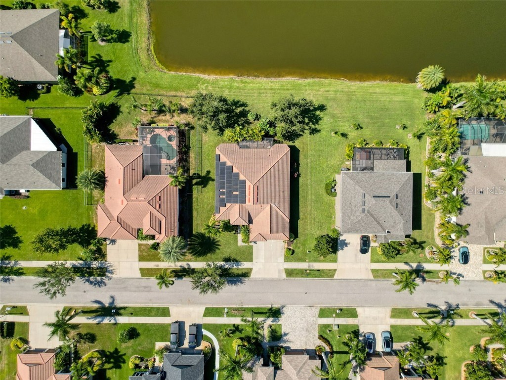 335 Cockle Shell Loop Apollo Beach FL 33572 TB8442499 image60
