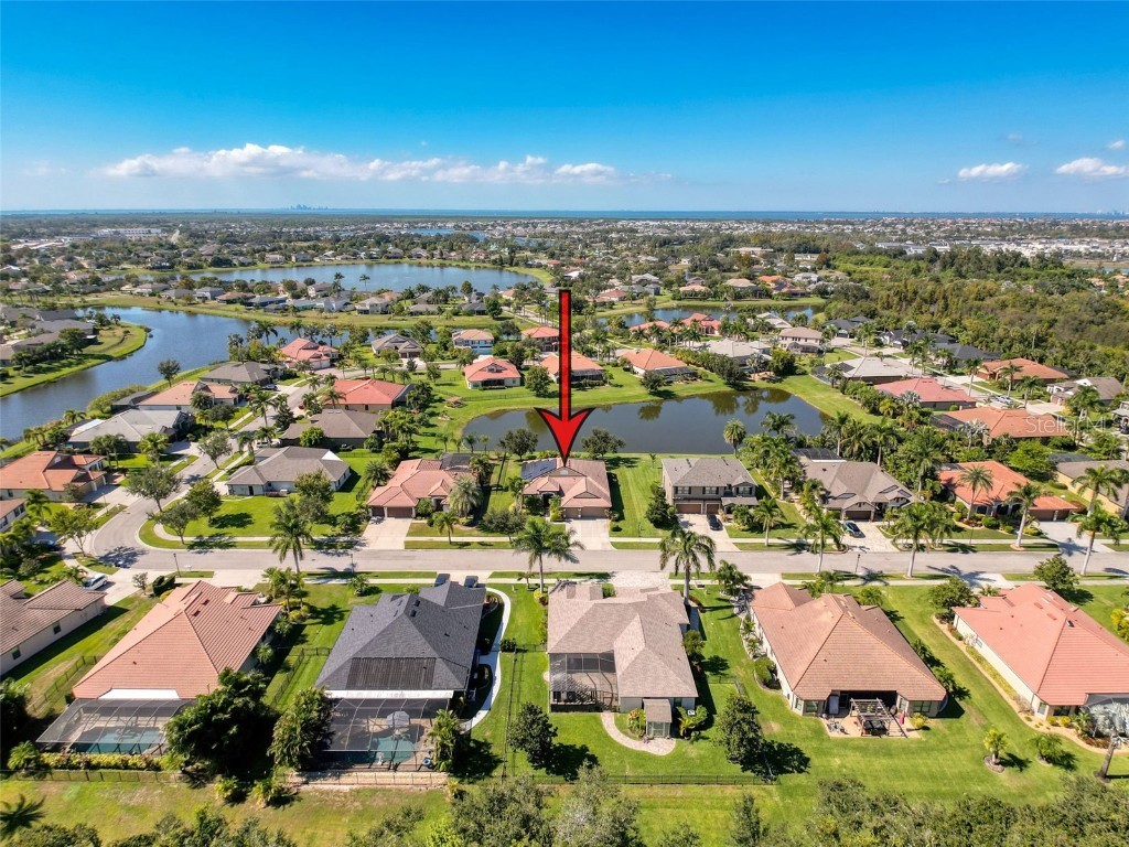 335 Cockle Shell Loop Apollo Beach FL 33572 TB8442499 image62