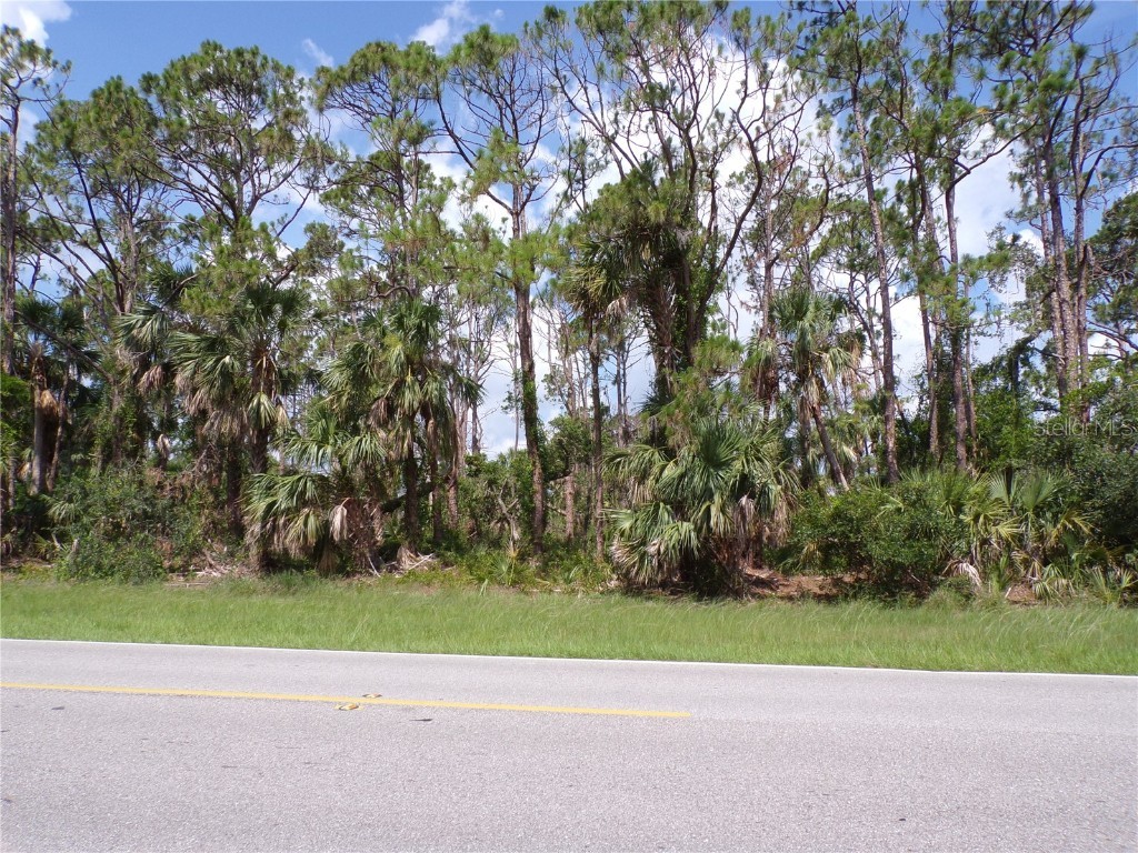 335 Cornelius Boulevard Port Charlotte FL 33953 C7476768 image1