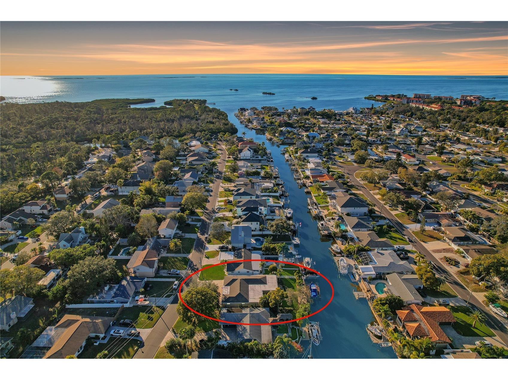 335 Crosswinds Drive Palm Harbor FL 34683 TB8466526 image1
