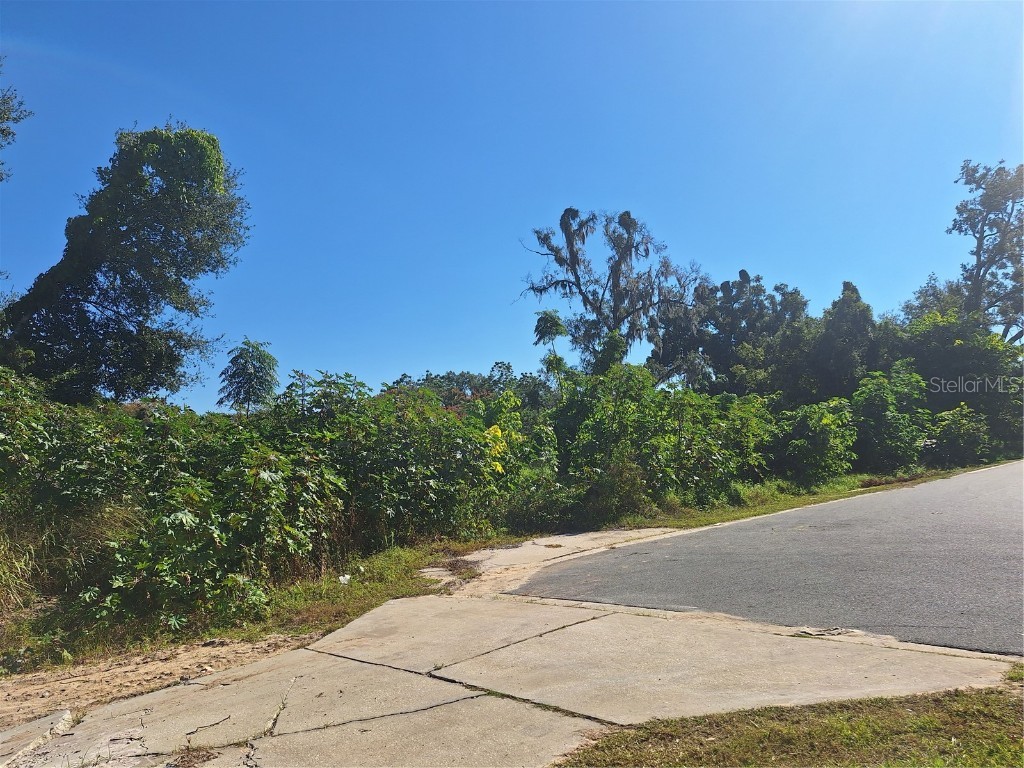 335 E 12th Street Apopka FL 32703 O6362297 image3