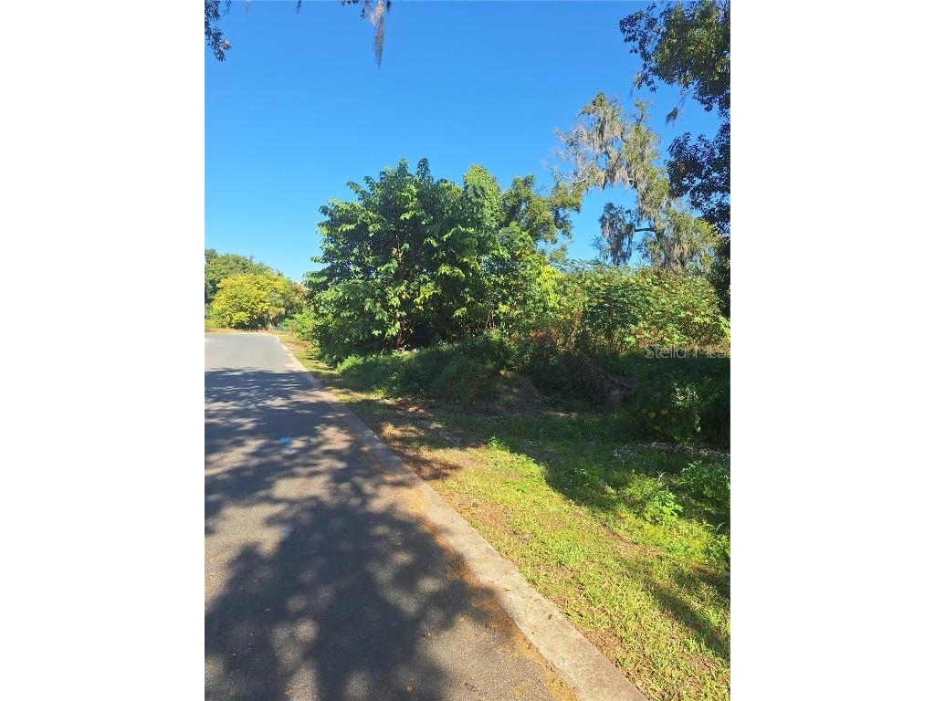 335 E 12th Street Apopka FL 32703 O6362297 image4