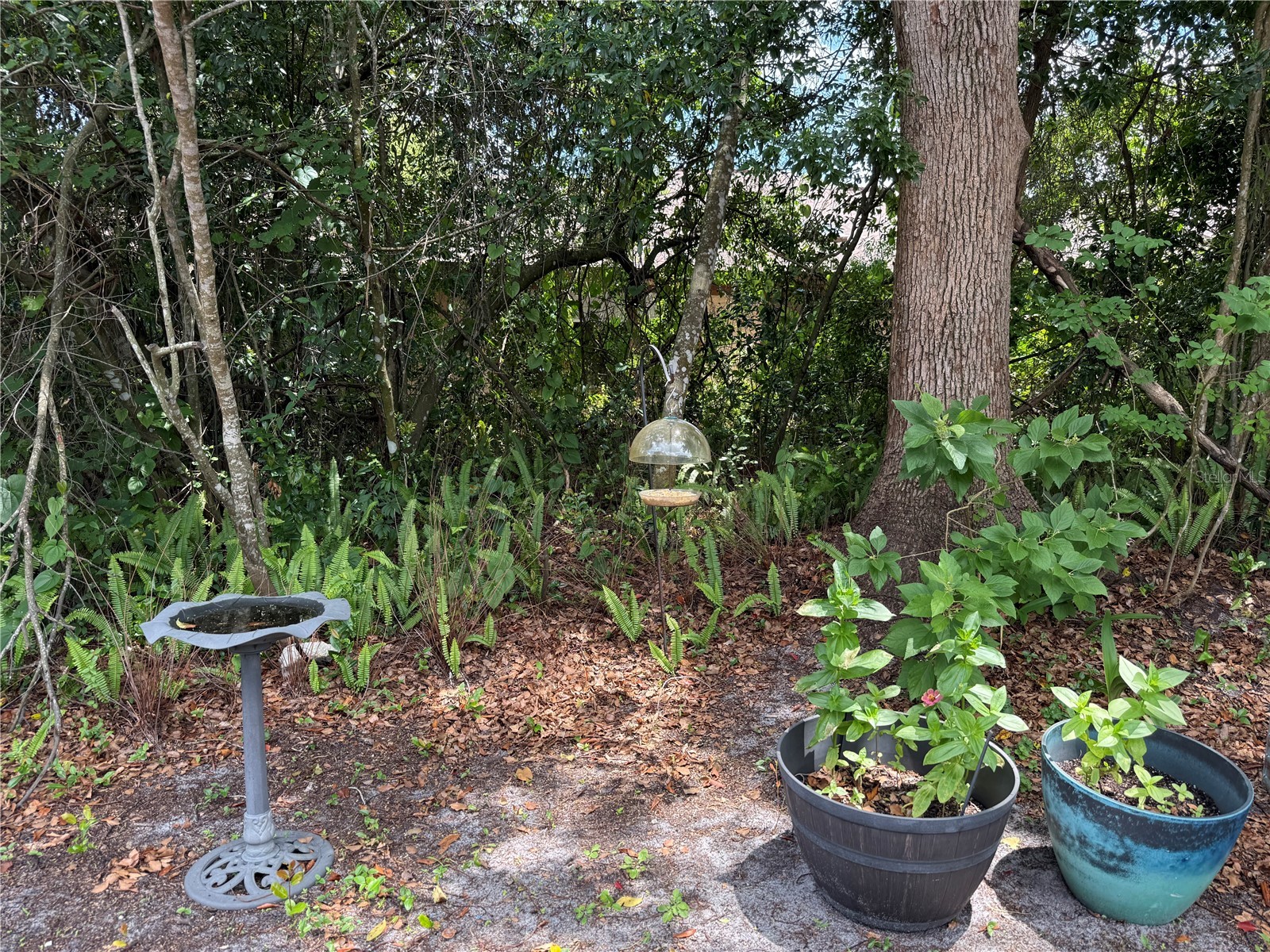 335 Golfside Cove Longwood FL 32779 O6399625 image41