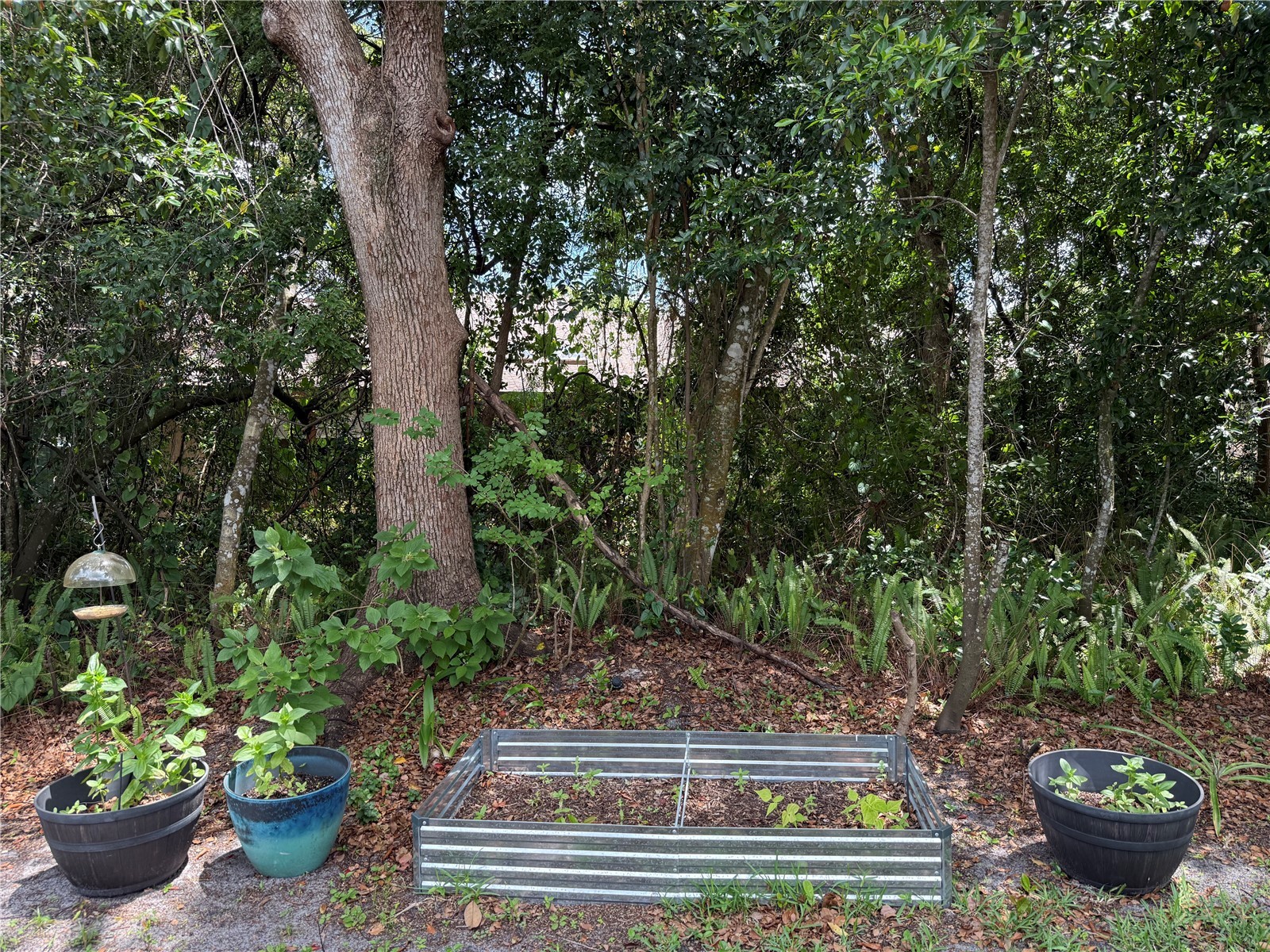 335 Golfside Cove Longwood FL 32779 O6399625 image42