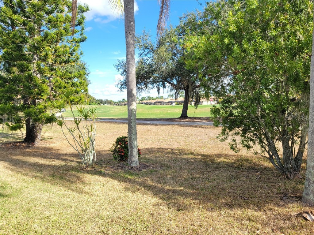 335 Heritage Isles Way Bradenton FL 34212 A4673375 image38