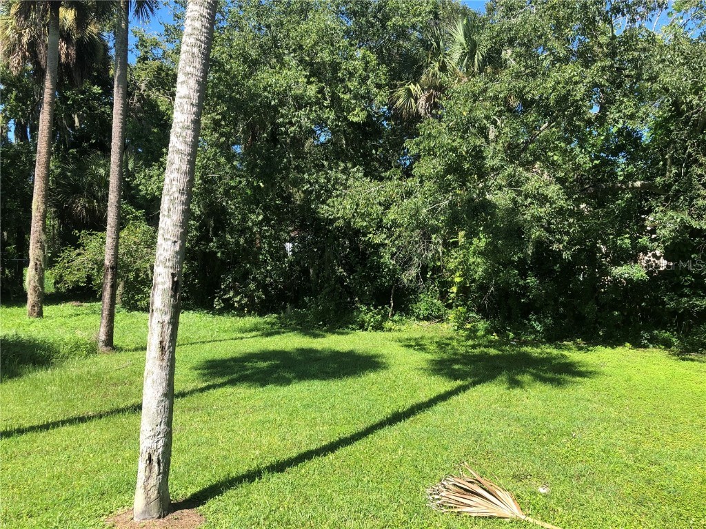 335 N Myrtle Avenue New Smyrna Beach FL 32168 NS1081735 image24