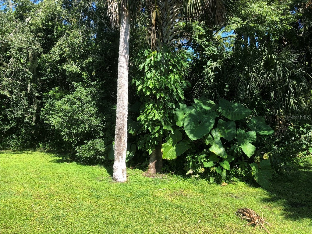 335 N Myrtle Avenue New Smyrna Beach FL 32168 NS1081735 image25