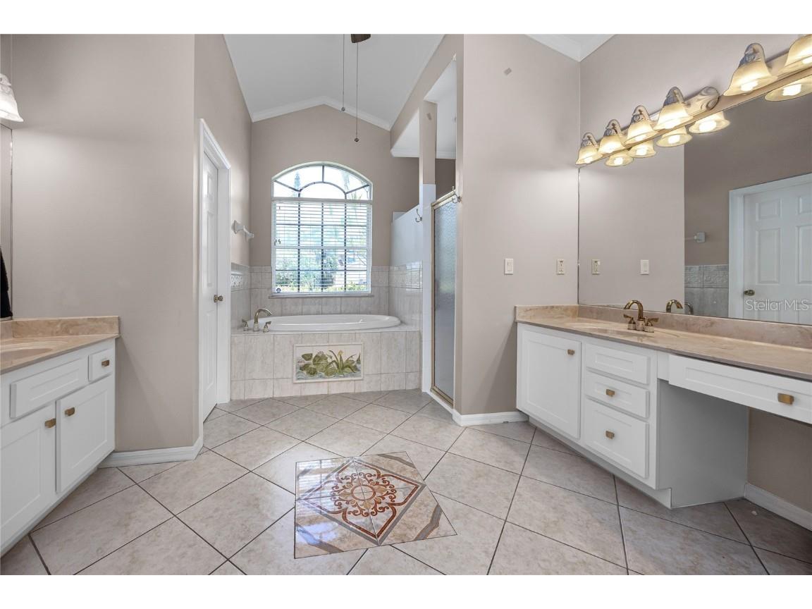 335 Palmdale Drive Oldsmar FL 34677 TB8396762 image17