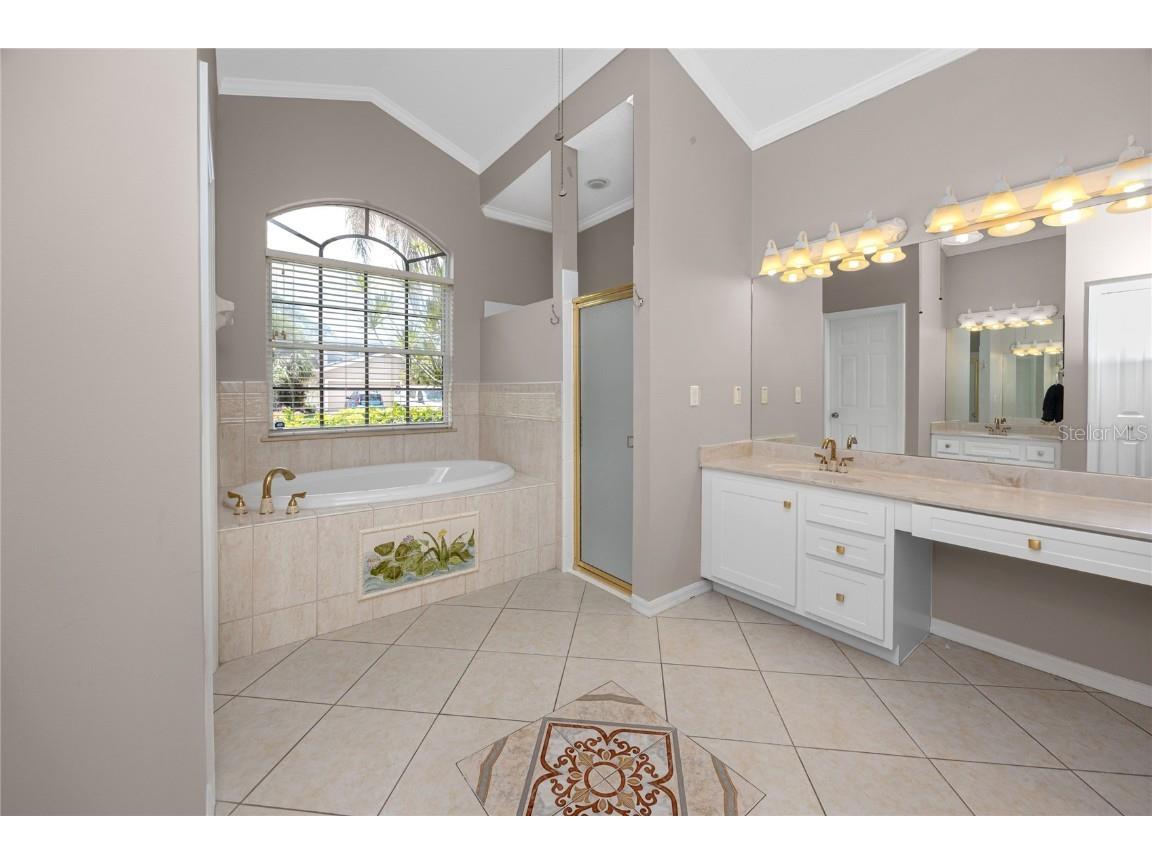 335 Palmdale Drive Oldsmar FL 34677 TB8396762 image18