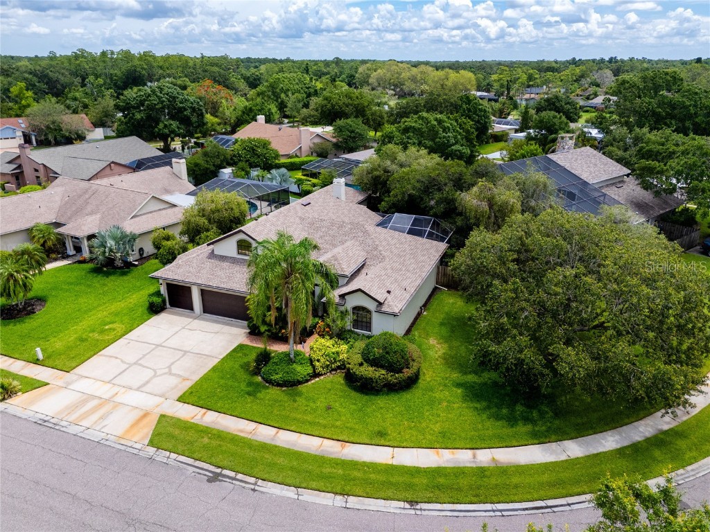 335 Palmdale Drive Oldsmar FL 34677 TB8396762 image2