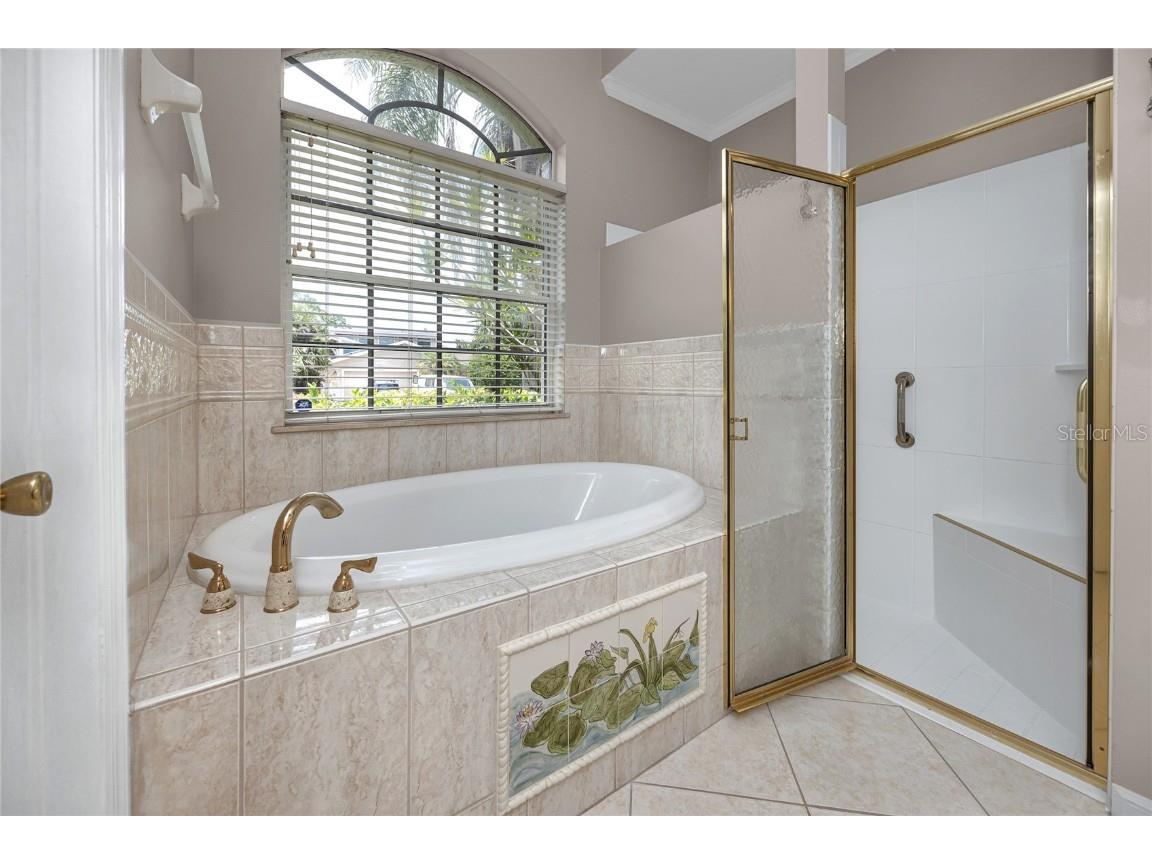 335 Palmdale Drive Oldsmar FL 34677 TB8396762 image26