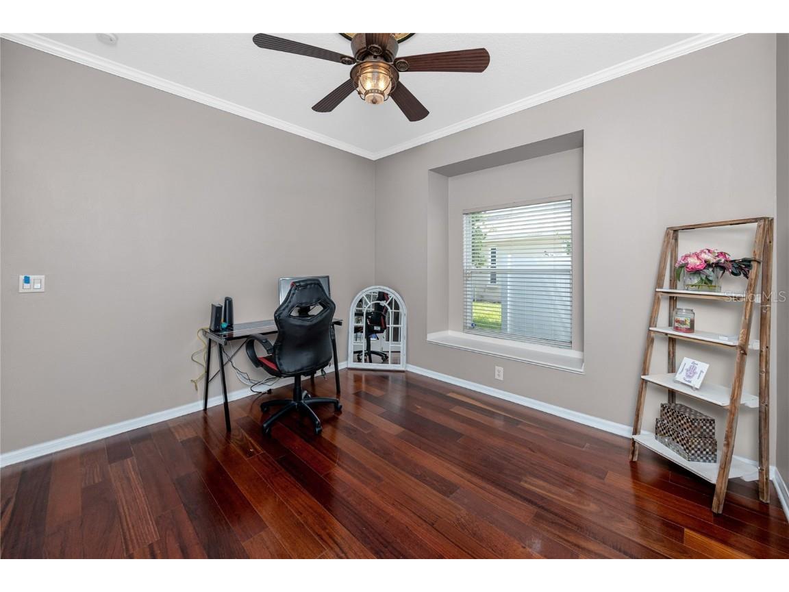 335 Palmdale Drive Oldsmar FL 34677 TB8396762 image44