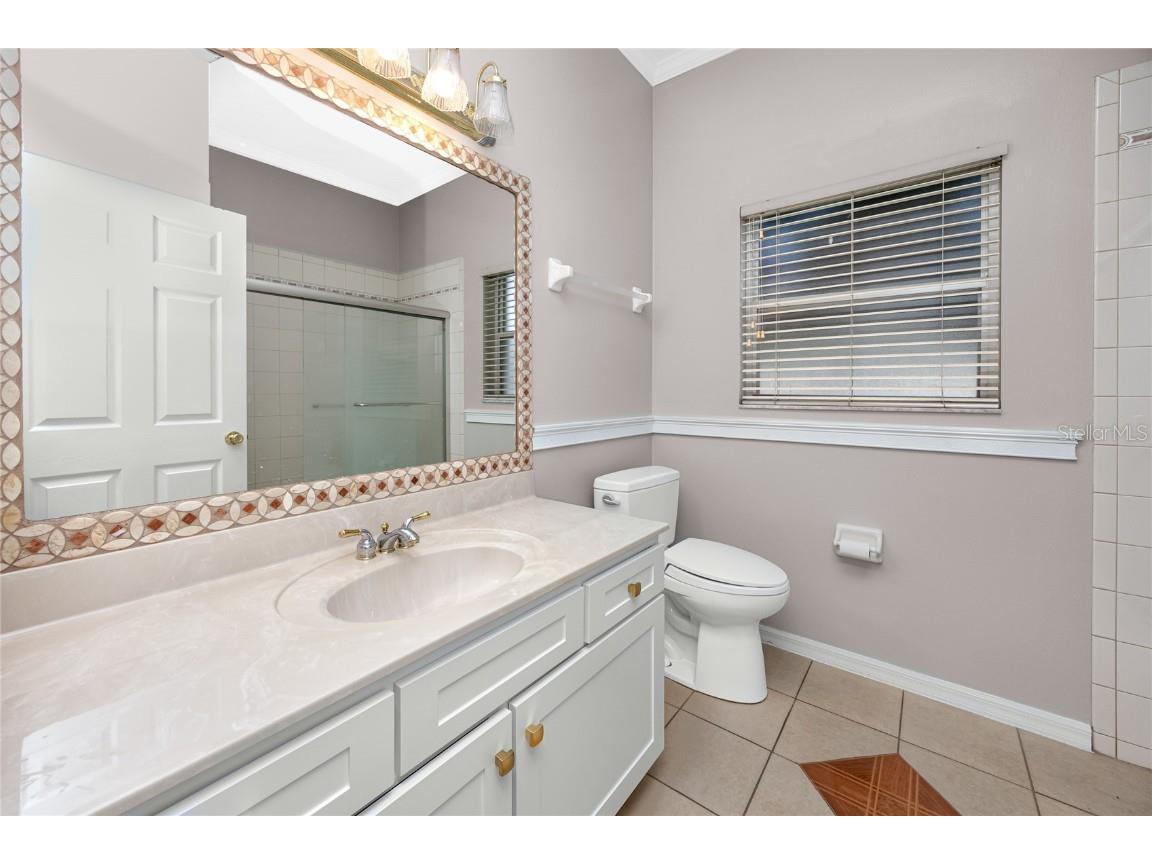 335 Palmdale Drive Oldsmar FL 34677 TB8396762 image48