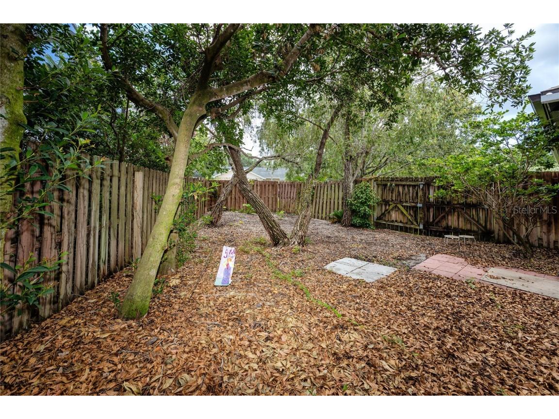 335 Palmdale Drive Oldsmar FL 34677 TB8396762 image58