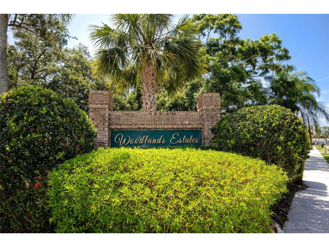 335 Palmdale Drive Oldsmar FL 34677 TB8396762 image65