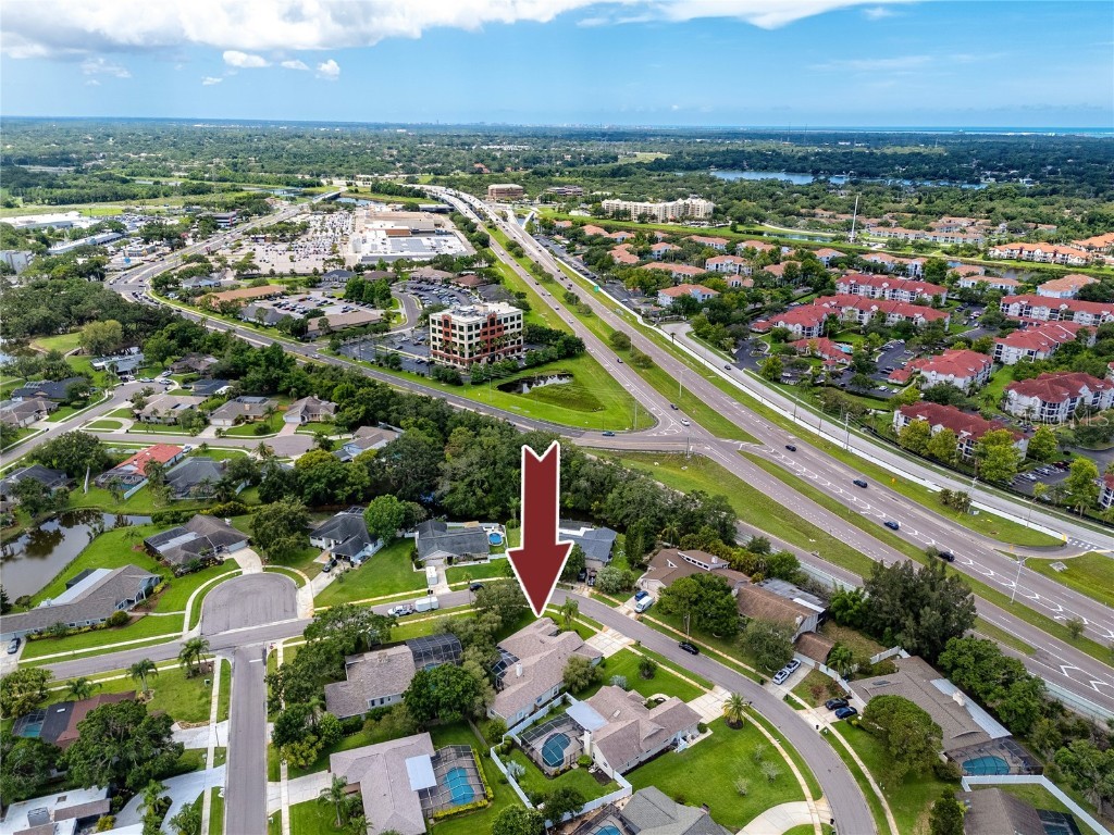 335 Palmdale Drive Oldsmar FL 34677 TB8396762 image66