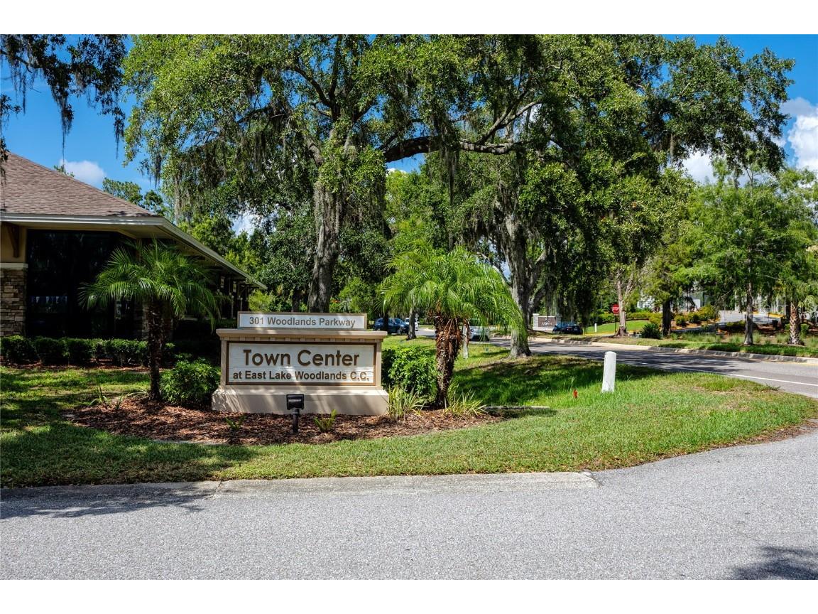 335 Palmdale Drive Oldsmar FL 34677 TB8396762 image71