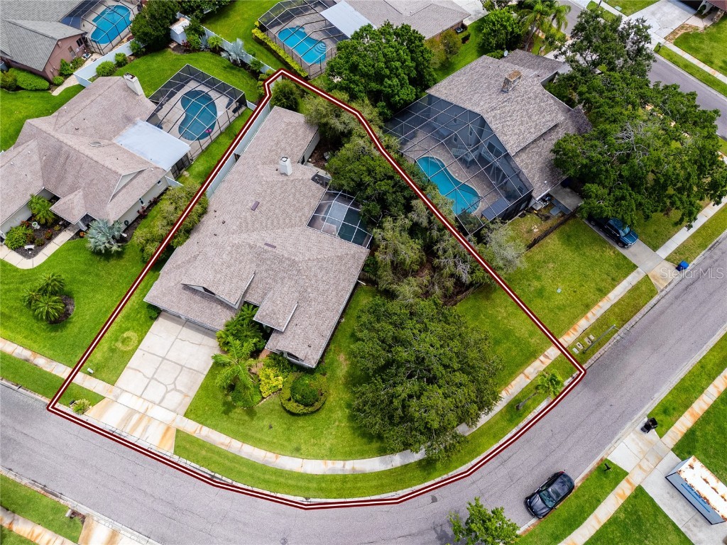 335 Palmdale Drive Oldsmar FL 34677 TB8396762 image76