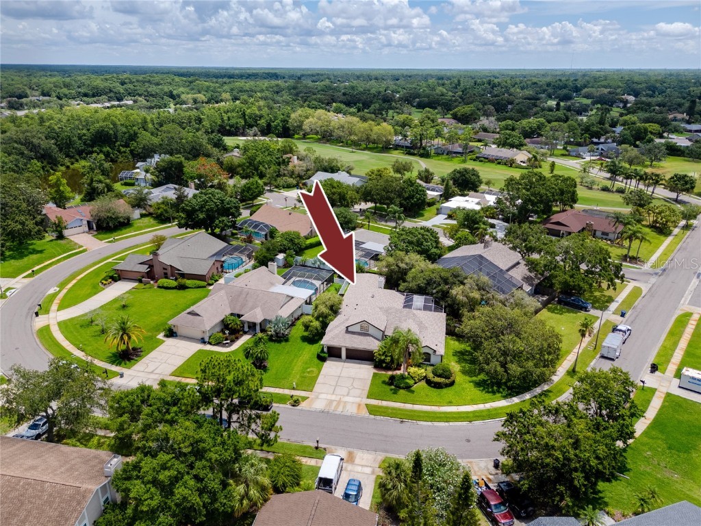 335 Palmdale Drive Oldsmar FL 34677 TB8396762 image78